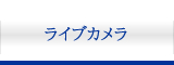 ライブカメラ